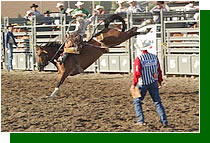 Roughrider Days Festival