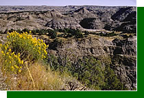 Theodore Roosevelt National Park